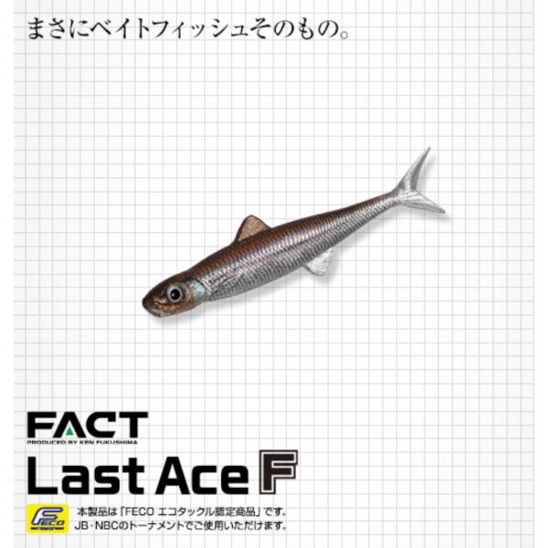 エバーグリーン　ラストエース80F