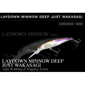 NORIES（ノリーズ） ジェティーシャッド62SP JETTY SHAD : ルアー