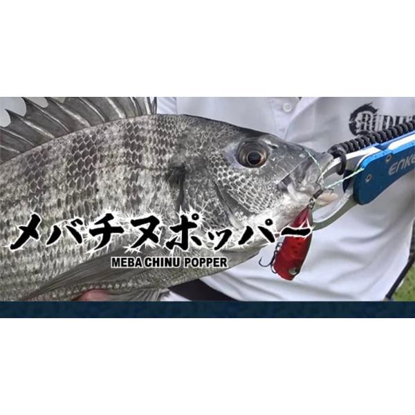 *ルーディーズ メバチヌポッパー 5g/45mm