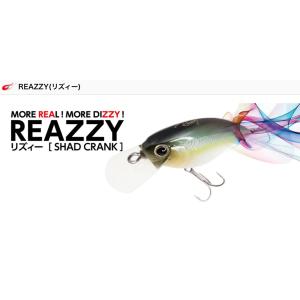 全20色】レイドジャパン レベルシャッド RAID JAPAN【1】 : バック