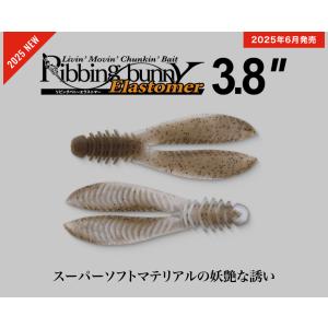 TIEMCO ティムコ CTハリネズミ : ウインズヤフー店 - 通販