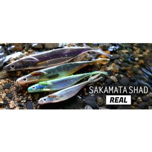 SIGNAL/シグナル Carp Head/カープヘッド デッドスローモデル