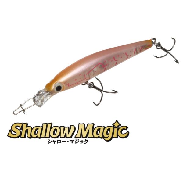 アクアウェーブ　特価(パッケージ傷み有り)　シャローマジック45　ShallowMagic45　45...