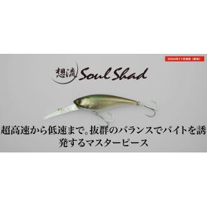 数量限定特価 シグナル ウルトラカープ ver2 USモデル : ルアー