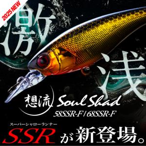 JACKALL（ジャッカル） ソウルシャッド68SP 9g/68mm 2024新色追加