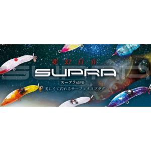 5)ドリームアップ ドリームコンスリー 86SF RA 欅 (2025年モデル