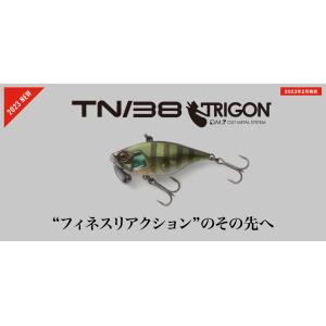 JACKALL】ジャッカル D-BILLS SHAD SR ディービルシャッド 疑似餌 釣り