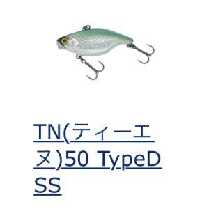 *DSTYLE　TN50 TypeD SS