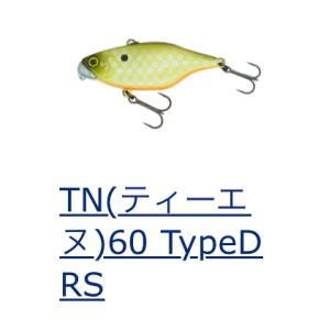 *DSTYLE　TN60 TypeD RS