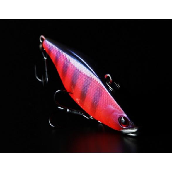 ジャッカル　TN70　マルハタ　TNskull shell maruhata　ティーエヌスカルシェル...