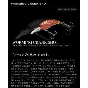 SIGNAL（シグナル） *シグナル マッドバズ MADBUZZ : ルアーショップ