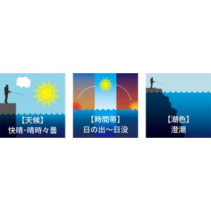ヤマシタ エギ王K 3.5号 (049) モエ...の詳細画像3