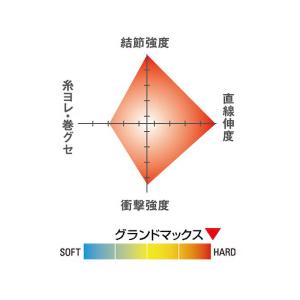 シーガー グランドマックス 60m 2号 フロ...の詳細画像1