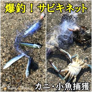 TackleTime サビキネット サビキ 仕掛け カニ網 カニ釣り カニ捕り 投網 刺網 魚網 ワタリガニ アジ サバ イワシ｜lureshop