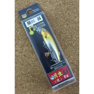 ハルシオンシステム 月虫55 沈 関川ロジックオレンジ : lureshopSAWA