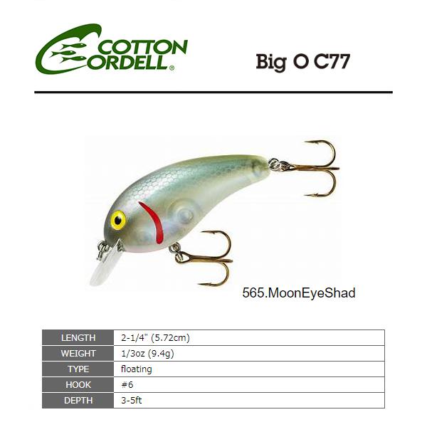 コットンコーデル　C77 ビッグオー　565 MoonEyeShad