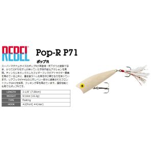 レーベル　P71　ポップR　#576 Bone