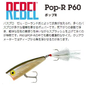 レーベル　P60　ポップR　#48 Tennessee Shad