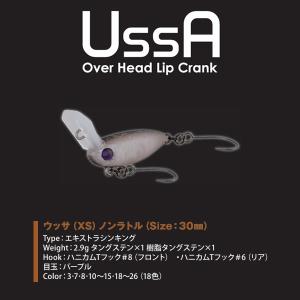 Rodio Craft（ロデオクラフト） ウッサXS ラトルインモデル : ウインズ