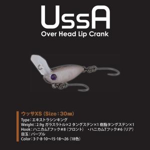 Rodio Craft（ロデオクラフト） ウッサXS ラトルインモデル : ウインズ