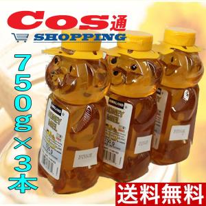 蜂蜜・はちみつ・ハチミツ ハニー ベア コストコ　Costco