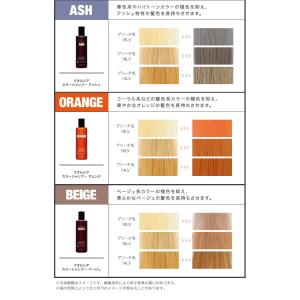 フィヨーレ クオルシア カラーシャンプー アッ...の詳細画像3