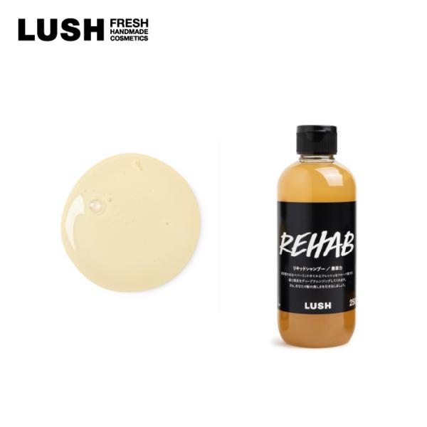 LUSH 果草力 250g シャンプー　クール ミント クレンジング プレゼント ボタニカル 酵素 ...