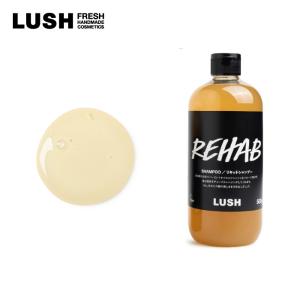 LUSH ラッシュ 公式 果草力 500g シャンプー クレンジング プレゼント向け ボタニカル 酵素 清涼感 ツヤ コシ ハンドメイド ノンシリコン｜LUSH公式 ヤフー店