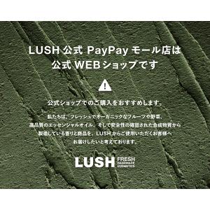 LUSH ワビサビ シャン クイ 110g シ...の詳細画像4