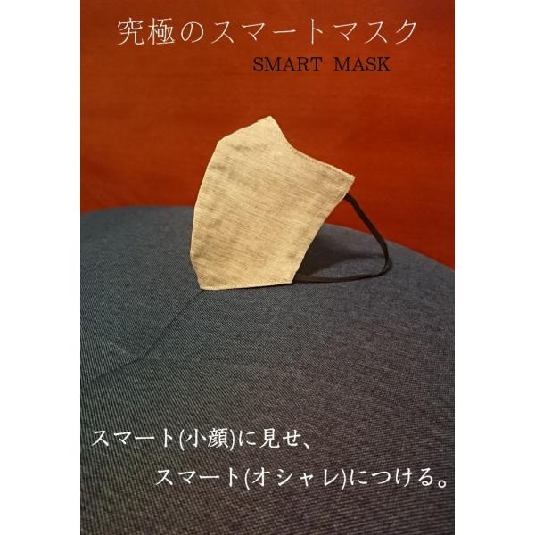 究極のスマートマスク　限定カラー　大人きれいめマスク　スタイリッシュマスク　最高に美しくなるマスク　...