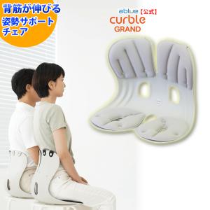 グレーの姿勢矯正チェア Amazon.co.jp: Holotap 姿勢サポートチェア 姿勢矯正 椅子【2024