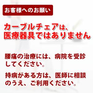 姿勢サポートチェア 姿勢矯正 姿勢が良くなる ...の詳細画像1