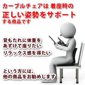 姿勢サポートチェア 姿勢矯正 姿勢が良くなる ...の詳細画像2