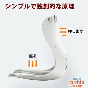 姿勢サポートチェア 姿勢矯正 姿勢が良くなる ...の詳細画像5