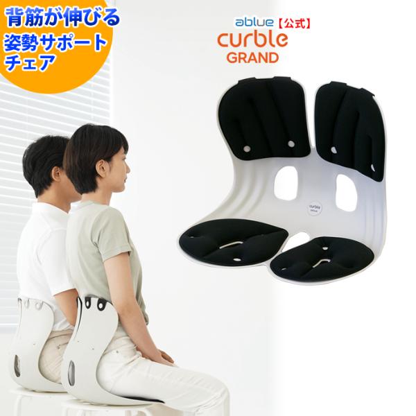 姿勢サポートチェア  姿勢矯正 姿勢が良くなる 背筋が伸びる 腰が楽に 椅子の上に置く 座椅子 軽量...
