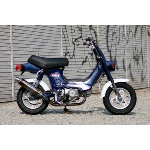 REALIZE 【最新モデル対応】 Realize PCX160 バイクマフラー 2BK