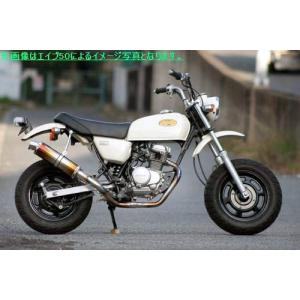 Realize (リアライズ) ホンダ エイプ100 (BC-HC07/EBJ-HC07/EBC-HC13) 2002年〜2009年モデル対応 バイクマフラー EMPLESS エンプレス Ti チタン マフラーの商品画像