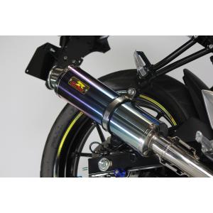 スウィッシュ Realize バイクマフラー 2BJ-DV12B 2019年モデル