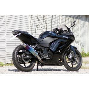 Realize カワサキ ニンジャ EX250L Aria チタンTypeC Realize カワサキ ニンジャ EX250L Aria チタンTypeC - メルカリ