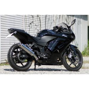Ninja Realize ニンジャ250R バイクマフラー JBK-EX250K 2008年