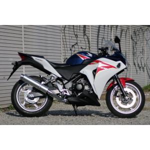 セロー Realize セロー250 バイクマフラー 2BK-DG31J 2018年