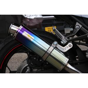 ninja250 ex250l ttsレーシングマフラー ツルノテクニカルサービス NINJA250 NINJA250R デュアル
