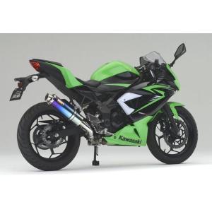 Realize カワサキ ニンジャ EX250L Aria チタンTypeC Realize カワサキ ニンジャ EX250L Aria チタンTypeC - メルカリ