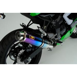 Ninja Realize ニンジャ250 バイクマフラー JBK-EX250L 2013年