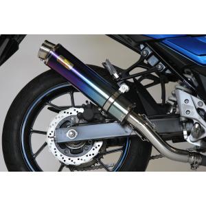 Realize GSX250R マフラー Aria チタン カールTypeC GSX250R|2BK-DN11A|Aria(アリア)|チタンマフラーType-S