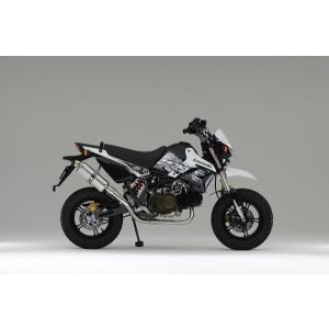 ステンレス バイクマフラー HMS PRO カワサキ