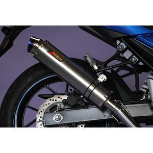 GSX Realize GSX250R バイクマフラー 2BK-DN11A 8BK-DN12B