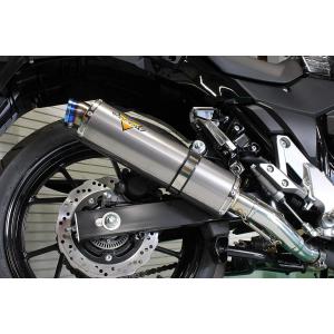 Vストローム250 ABS バイクマフラー 2BK-DS11A 2017年〜2020年モデル対応 アレグリア チタンソリッド マフラー カスタム パーツ Valiente バリエンテ スズキ