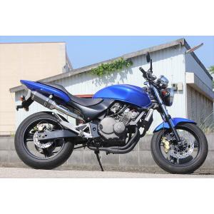たぬきうどんリアライズマフラー(スラッシュタイプ)ホーネット250MC31 HORNET ADV Realize ホーネット250 バイクマフラー MC31 1996年