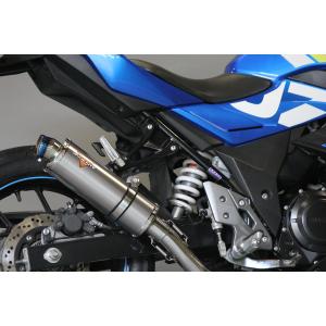 WR'S ダブルアールズ GSX250R スリップオンマフラー WR'S WR'S ダブルアールズ リアエキゾースト スリップオン